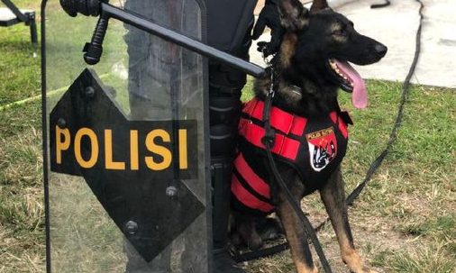 Foto : Ilustrasi K-9 Polri