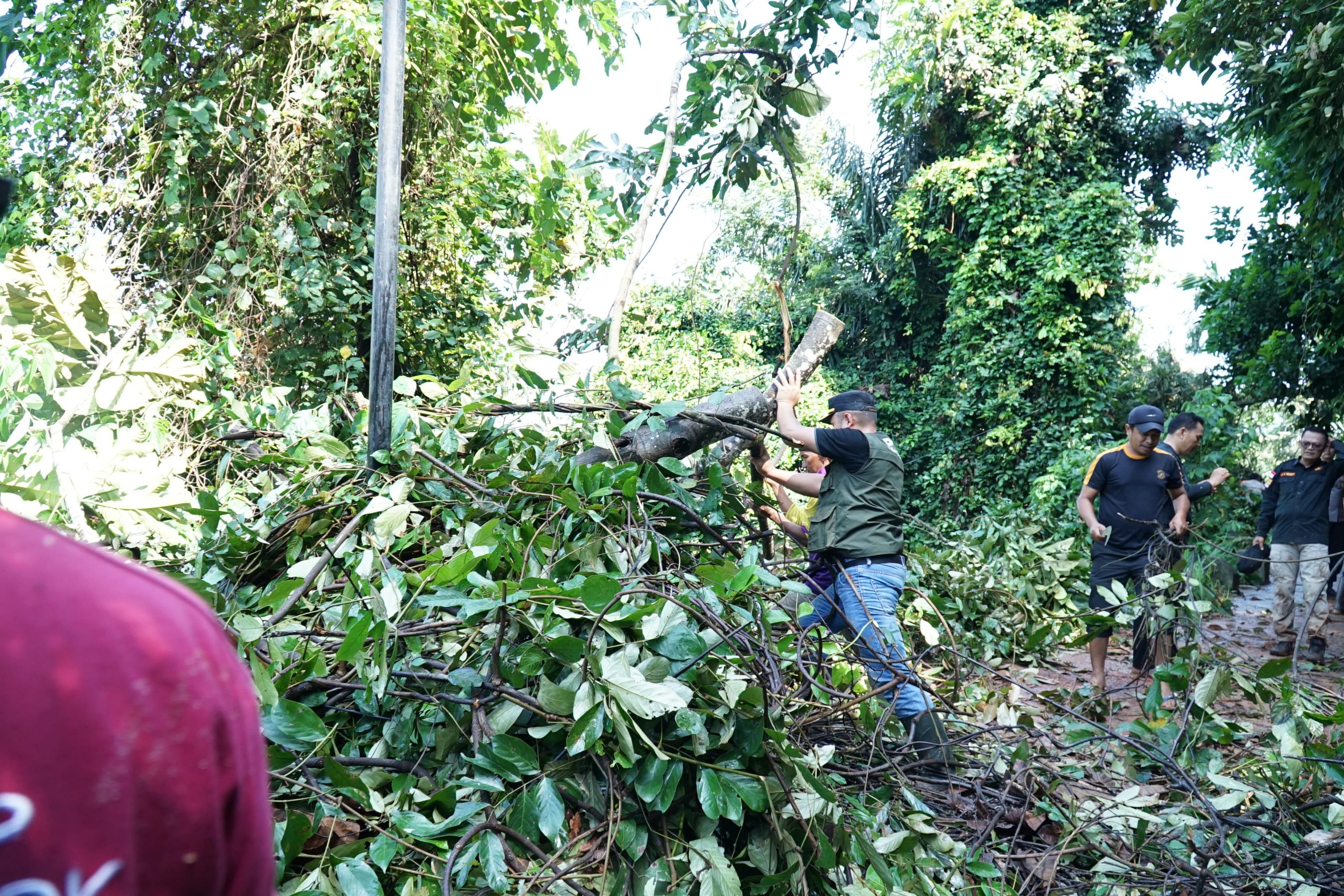 Foto : Kondisi Longsor di Aripan Kab.Solok