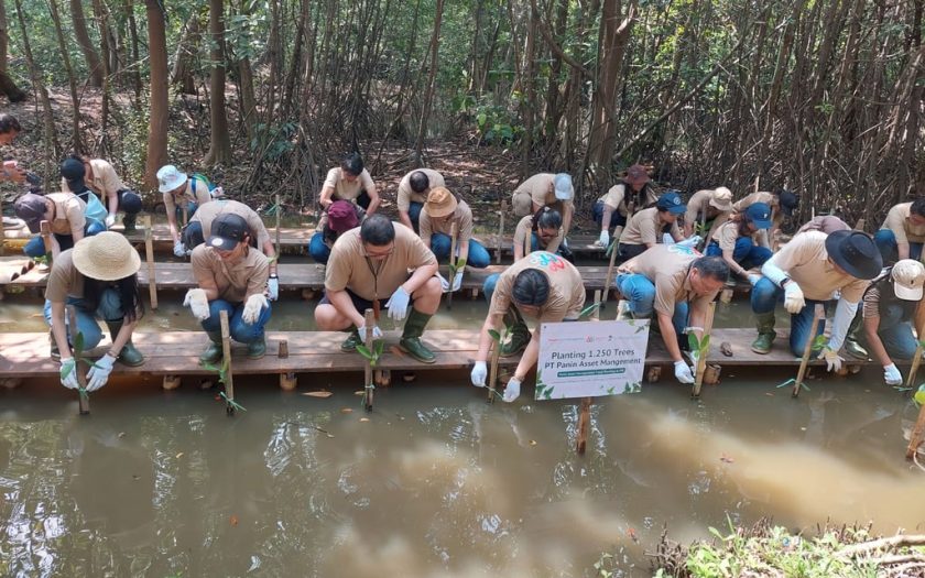 LindungiHutan Terlibat dalam Program CSR PT Panin Asset Management Tanam Mangrove di PIK