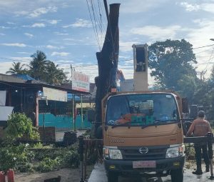 Foto : Foto : Tim DLH Kota Padang Saat melakukan pemangkasan dahan pohon tua