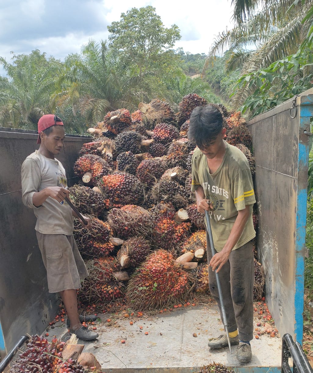 Doc Istimewa : Bimantara News